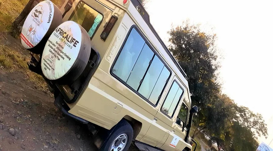 Best Tanzania safari packages