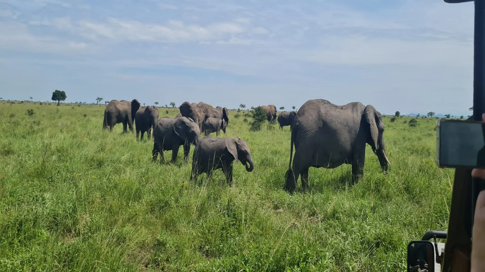 Private Tanzania safari