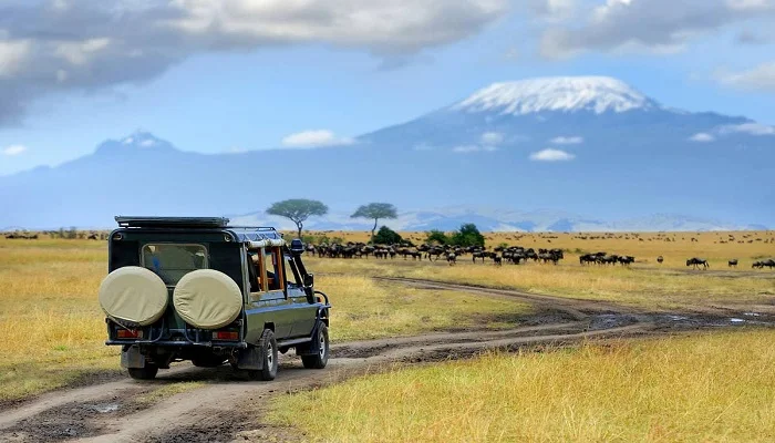 Private Tanzania safari
