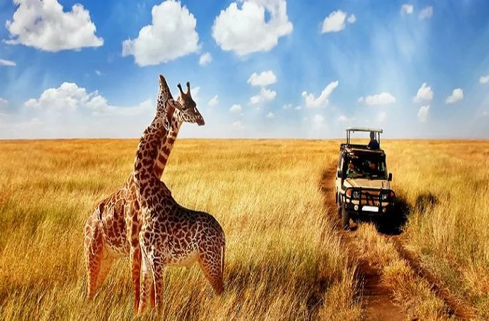 best tour company in Tanzania