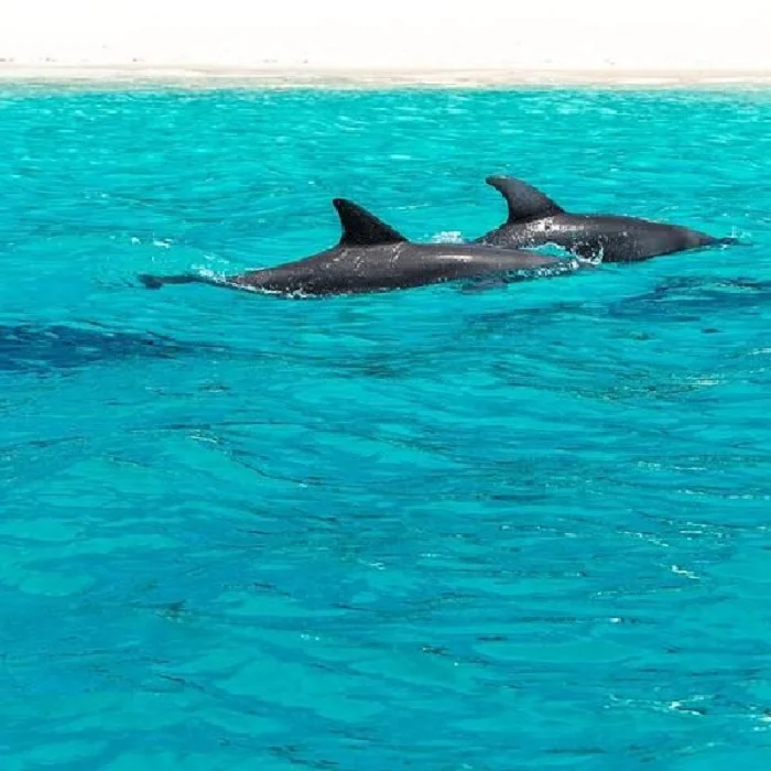 Zanzibar beach day trip
