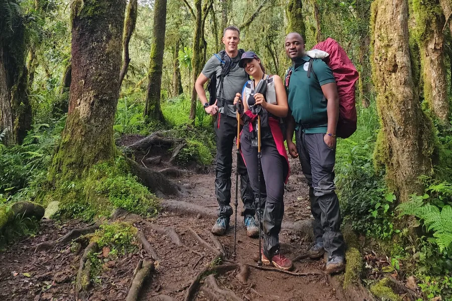 Kilimanjaro climbing tours