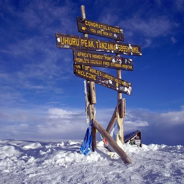 best tour company in Tanzania