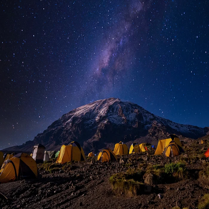 best tour company in Tanzania