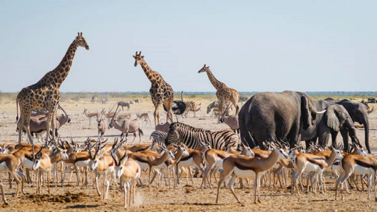 Private Tanzania safari