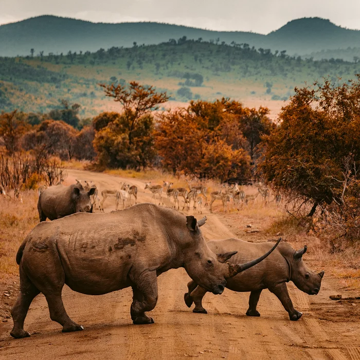 best tour company in Tanzania