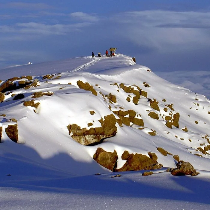 best tour company in Tanzania